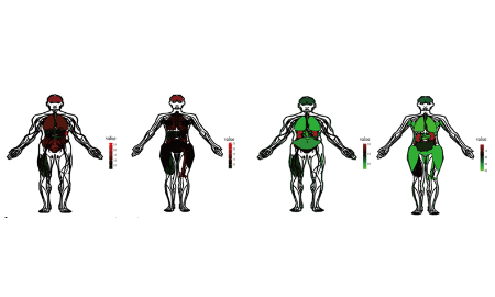 基于lncRNA的胰腺癌预后风险评估因素描绘跨泛癌水平的生物学功能